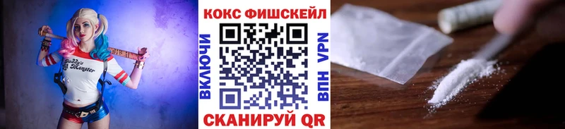 Купить закладки  Владивосток  КОКАИН FishScale 