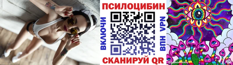 Псилоцибиновые грибы мицелий  Купить где  Владивосток 